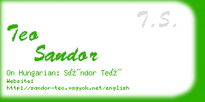teo sandor business card